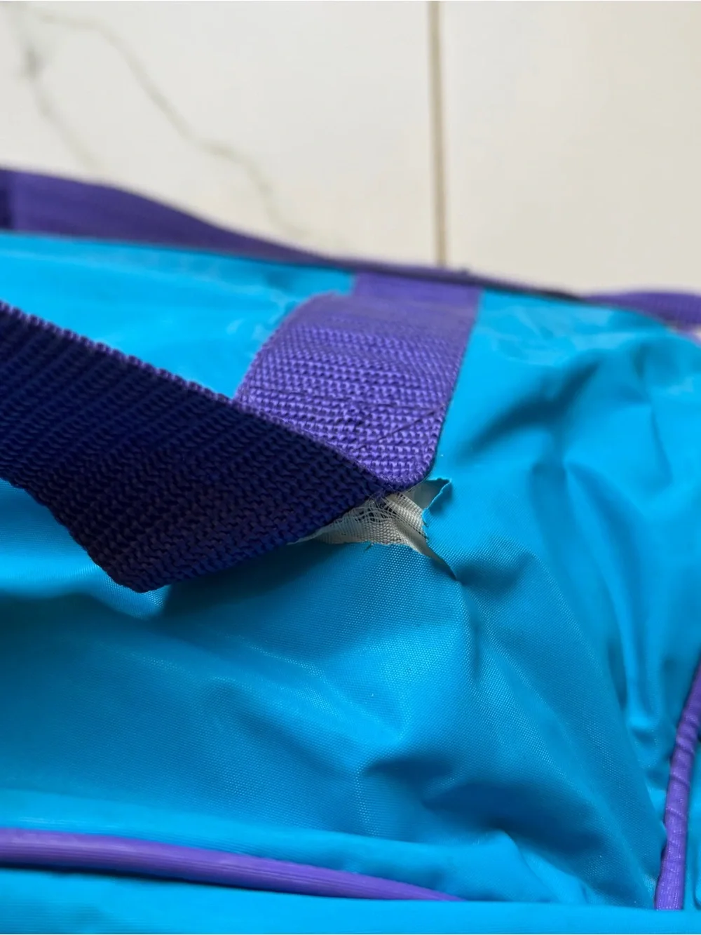 Vintage 1990s 90s Charlotte Hornets Duffle Bag Teal Purple Colorful Logo NBA